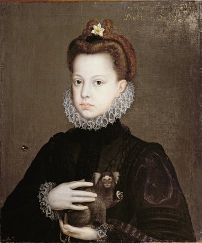 Infanta Isabella Clara Eugenia, figlia di Filippo II di Spagna da Alonso Sánchez Coello